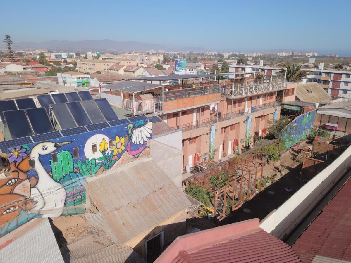 Hostal Valle Mistral La Serena Buitenkant foto
